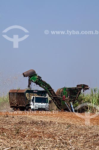  Assunto: Colheita Mecanizada de cana de açúcar para Usina de Cogeração (Açúcar, Etanol e Energia elétrica) da empresa Guarani  / Local: Olímpia - São Paulo (SP) - Brasil / Data: 09/2011 