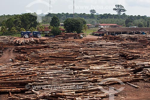  Assunto: Pátio com toras de madeira certificada da empresa Precious Woods Amazon  / Local: Itacoatiara - Amazonas (AM) - Brasil / Data: 10/2011 