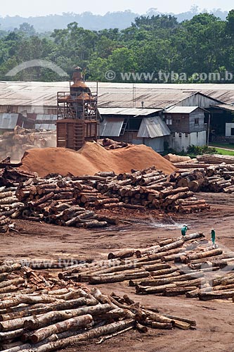  Assunto: Pátio com toras de madeira certificada da empresa Precious Woods Amazon  / Local: Itacoatiara - Amazonas (AM) - Brasil / Data: 10/2011 