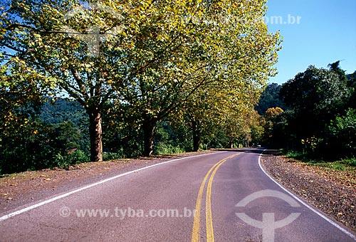  Assunto: Estrada Rota Romântica na BR-116 / Local: Nova Petrópolis - Rio Grande do Sul (RS) - Brasil / Data: 06/2010 