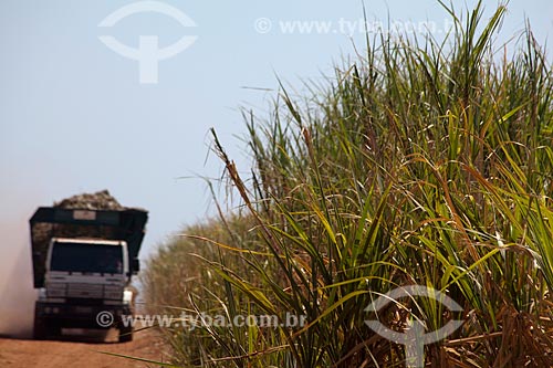  Assunto: Colheita Mecanizada de cana-de-açúcar para Usina de Cogeração (açúcar, etanol e energia elétrica) da empresa Guarani / Local: Olímpia - São Paulo (SP) - Brasil  / Data: 09/2011 
