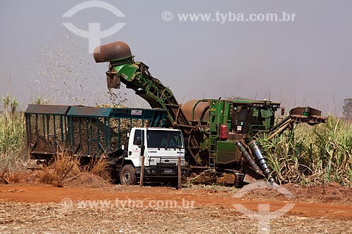 Assunto: Colheita Mecanizada de cana-de-açúcar para Usina de Cogeração (açúcar, etanol e energia elétrica) da empresa Guarani / Local: Olímpia - São Paulo (SP) - Brasil  / Data: 09/2011 