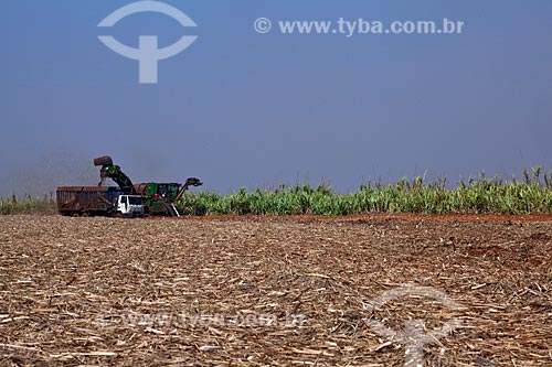  Assunto: Colheita Mecanizada de cana de açúcar para Usina de Cogeração (açúcar, etanol e energia elétrica) da empresa Guarani / Local: Olímpia - São Paulo (SP) - Brasil  / Data: 09/2011 