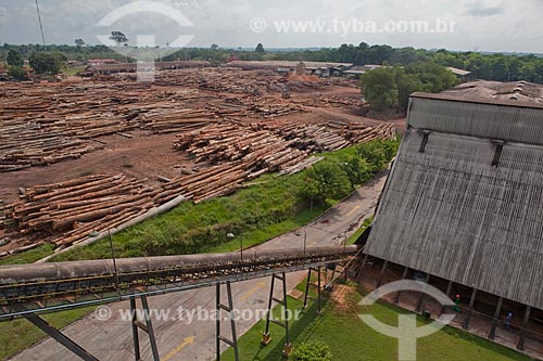  Assunto: Pátio com toras de madeira certificada da empresa Precious Wood Amazon  / Local: Itacoatiara - Amazonas (AM) - Brasil / Data: 10/2011 