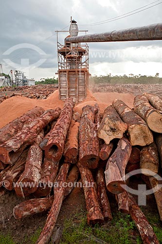  Assunto: Pátio com toras de madeira certificada da empresa Precious Wood Amazon  / Local: Itacoatiara - Amazonas (AM) - Brasil / Data: 10/2011 