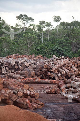  Assunto: Pátio com toras de madeira certificada da empresa Precious Wood Amazon  / Local: Itacoatiara - Amazonas (AM) - Brasil / Data: 10/2011 