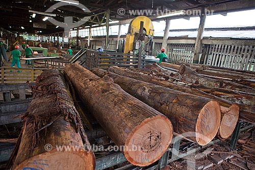  Assunto: Toras de madeira na Madeireira Precious Wood Amazon com homens trabalhando, ao fundo  / Local: Itacoatiara - Amazonas (AM) - Brasil / Data: 10/2011 