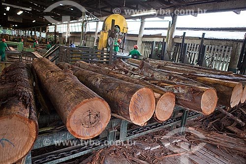  Assunto: Toras de madeira na Madeireira Precious Wood Amazon com homens trabalhando, ao fundo  / Local: Itacoatiara - Amazonas (AM) - Brasil / Data: 10/2011 