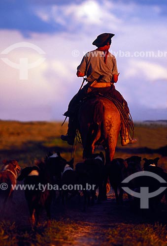  Assunto: Homem montado no cavalo / Local: Rio Grande do Sul (RS) - Brasil / Data: 11/2008 