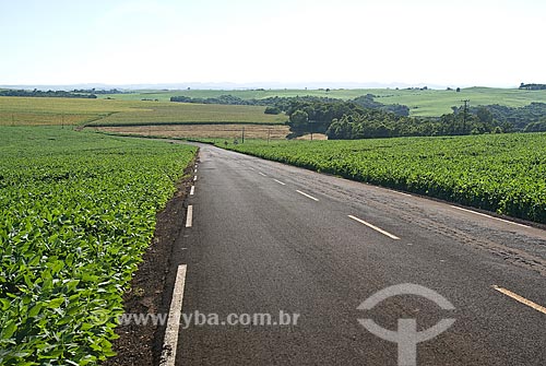  Assunto: Vista de área rural - Trecho da Rodovia BR-277 próximo à Cascavel  / Local: Cascavel - Paraná (PR) - Brasil / Data: 2009 