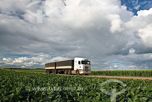  Assunto: Caminhão graneleiro transportando soja - Trecho da Rodovia BR-163 / Local: Rondonópolis - Mato Grosso (MT) - Brasil / Data: 2010 