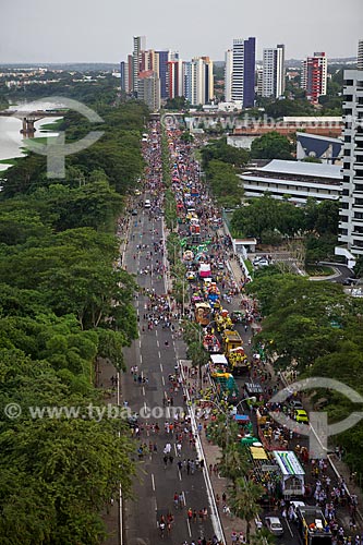  Assunto: Desfile de Corso Carnavalesco - Maior Corso do mundo / Local: Teresina - Piauí (PI) - Brasil / Data: 02/2012 