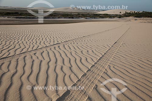  Assunto: Marca de pneu de bugre nas areias das dunas de Jericoacoara / Local: Jijoca de Jericoacoara - Ceará (CE) - Brasil / Data: 11/2011 