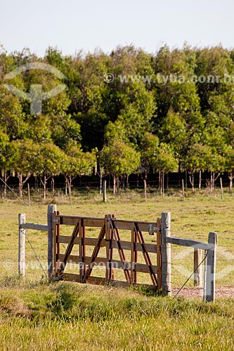  Assunto: Porteira de fazenda com plantação de Pinus ao fundo  / Local: Palmares do Sul - Rio Grande do Sul (RS) - Brasil / Data: 02/2012 