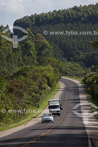  Assunto: Rodovia BR-116 altura do KM 347 com plantação de Pinus ao fundo / Local: Rio Grande do Sul (RS) - Brasil / Data: 02/2012 
