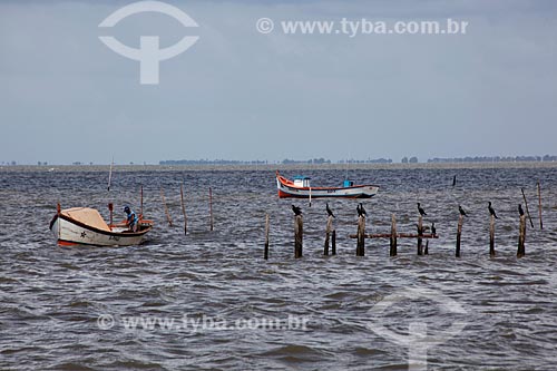  Assunto: Colônia de pesca Z3 - Lagoa dos Patos  / Local: Pelotas - Rio Grande do Sul (RS) - Brasil / Data: 02/2012 