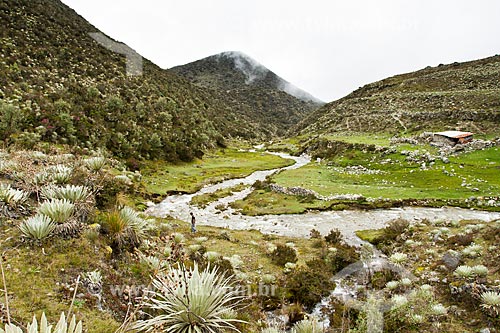  Assunto: Rio de la Culata no Parque Nacional Sierra de la Culata / Local: Mérida - Mérida - Venezuela - América do Sul / Data: 05/2012 