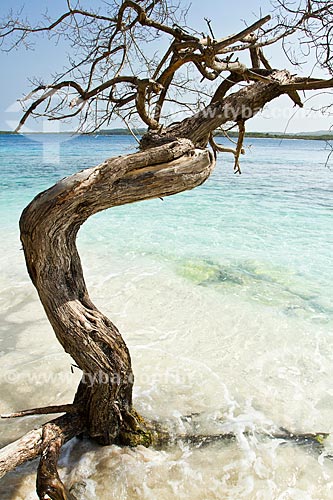  Assunto: Cayo Sombrero pequena ilha no Mar do Caribe que pertence ao Parque Nacional Morrocoy / Local: Chichiriviche - Falcón - Venezuela - América do Sul / Data: 05/2012 