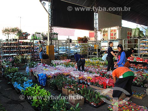  Assunto: Mercado De flores do Centro de Abastecimento da Guanabara (CADEG) / Local: Benfica - Rio de Janeiro (RJ) - Brasil / Data: 06/2012 