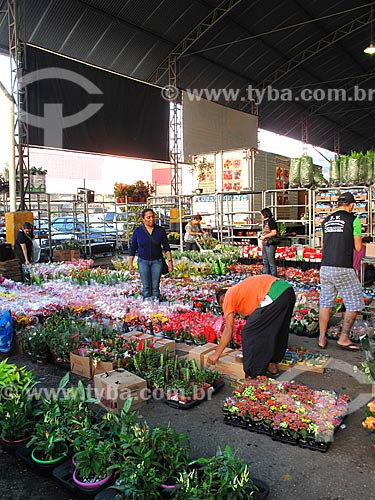  Assunto: Mercado De flores do Centro de Abastecimento da Guanabara (CADEG) / Local: Benfica - Rio de Janeiro (RJ) - Brasil / Data: 06/2012 