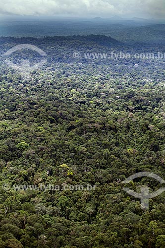  Assunto: Vista aérea da Floresta Amazônica - Parque Nacional Montanhas do Tumucumaque / Local: Amapá (AP) - Brasil / Data: 04/2012 