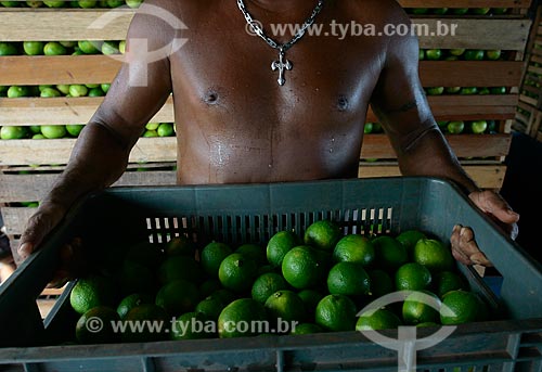  Assunto: Homem segurando caixa com limões no porto de Manaus / Local: Manaus - Amazonas (AM) - Brasil / Data: 06/2012 