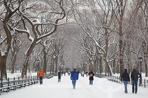  Assunto: Central Park durante o inverno / Local: Nova Iorque - Estados Unidos da América - EUA / Data: 01/2009 