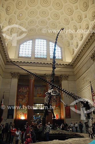  Assunto: Museu Americano de História Natural / Local: Nova Iorque - Estados Unidos da América - EUA / Data: 12/2008 