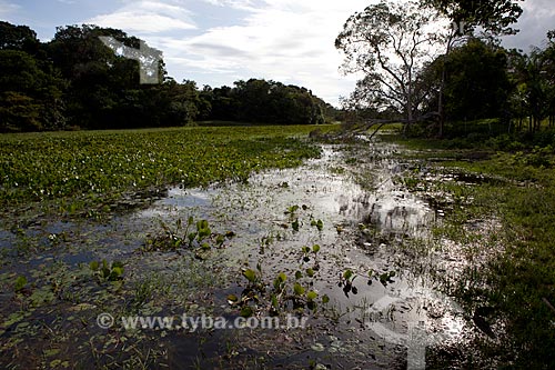  Assunto: Área de Proteção Ambiental do Rio Curiaú - Lago abastecido por canais naturais do Rio Amazonas / Local: Macapá - Amapá (AP) - Brasil / Data: 04/2012 