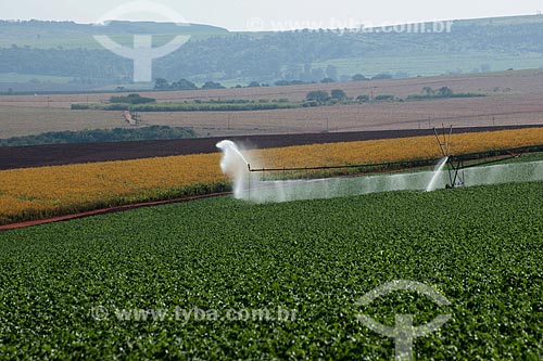 Assunto: Uso de pivô central na plantação de batatas na zona rural de Casa Branca / Local: Casa Branca - São Paulo (SP) - Brasil  / Data: 06/2011 
