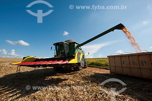  Assunto: Descarregamento de milho na zona rural de Itapeva  / Local: Itapeva - São Paulo (SP) - Brasil / Data: 02/2012 