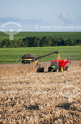  Assunto: Descarregamento de milho na zona rural de Itararé  / Local: Itararé - São Paulo (SP) - Brasil / Data: 02/2012 