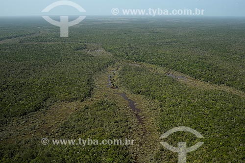  Assunto: Vista do Parque Nacional Serra da Mocidade / Local: Caracaraí - Roraima (RR) - Brasil / Data: 03/2012 