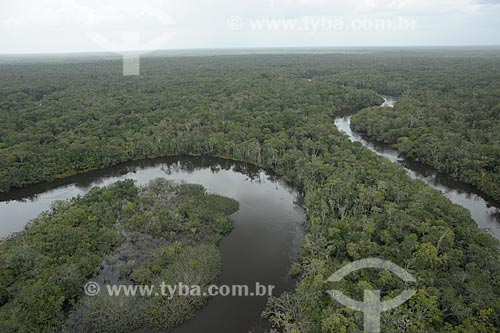  Assunto: Trecho do Rio Água Boa do Univiní no Parque Nacional Serra da Mocidade / Local: Caracaraí - Roraima (RR) - Brasil / Data: 03/2012 