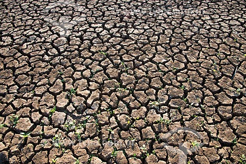  Assunto: Detalhe de solo rachado de açude seco no período de estiagem / Local: Salgueiro - Pernambuco (PE) - Brasil / Data: 08/2012 