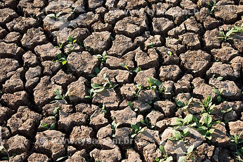  Assunto: Detalhe de solo rachado de açude seco no período de estiagem / Local: Salgueiro - Pernambuco (PE) - Brasil / Data: 08/2012 