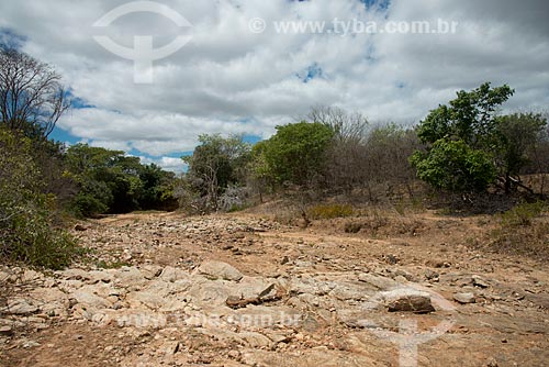  Assunto: Leito do riacho Grande seco no distrito de Bernardo Vieira / Local: Serra Talhada - Pernambuco (PE) - Brasil / Data: 08/2012 