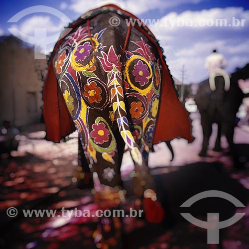  Assunto: Elefante enfeitado com desenhos de flores / Local: Índia - Ásia / Data: 04/2007 