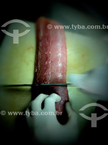  Assunto: Peixe sendo cortado - foto feita com IPhone / Local: Itaim Bibi - São Paulo (SP) - Brasil / Data: 09/2012 
