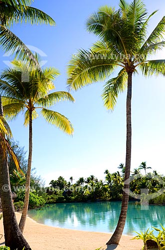  Assunto: Pequena praia com vegetação nativa ao fundo / Local: Ilha Bora Bora - Polinésia Francesa - Oceania / Data: 10/2012 