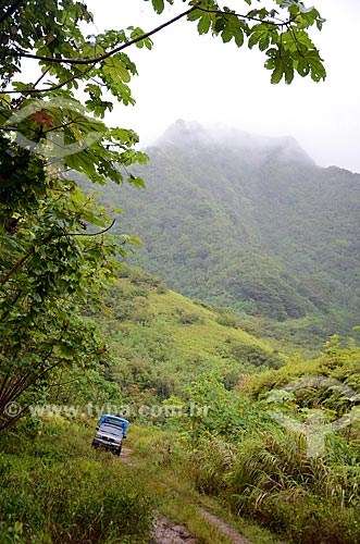  Assunto: Carro em trilha no meio da vegetação / Local: Ilha Tahaa - Polinésia Francesa - Oceania / Data: 10/2012 