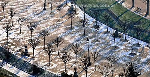  Assunto: Árvores na Avenida Joseph Bouvard - Campo de Marte / Local: Paris - França - Europa / Data: 02/2012 