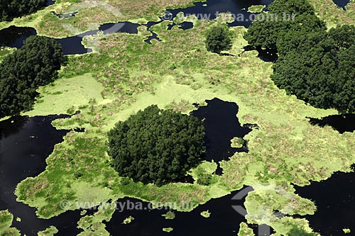  Assunto: Vista aérea da Reserva Biológica Lago Piratuba / Local: Amapá (AP) -Brasil / Data: 05/2012 