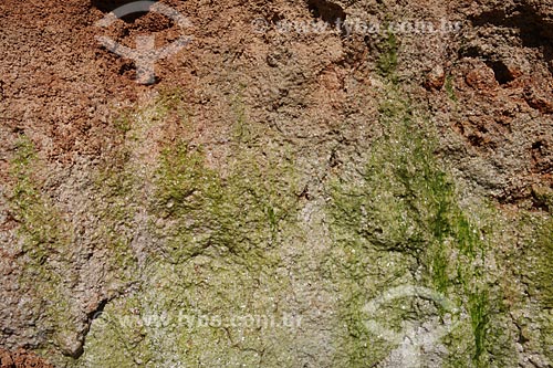  Assunto: Detalhe de nascente / Local: Alta Floresta - Mato Grosso (MT) - Brasil / Data: 05/2012 