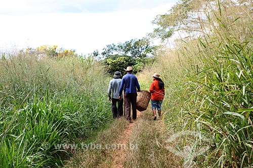  Assunto: Agricultores em propriedade rural / Local: Alta Floresta - Mato Grosso (MT) - Brasil / Data: 05/2012 