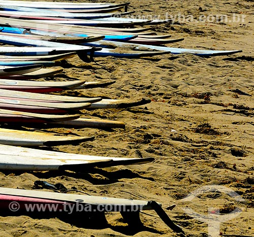  Assunto: Pranchas de Surf na Will Rogers State Beach (Praia Will Rogers) / Local: Santa Mônica - Califórnia - Estados Unidos da América - América do Norte / Data: 08/2011 