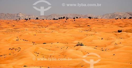  Assunto: Deserto da região central dos Emirados Árabes - Emirados de Sharjah / Local: Emirados Árabes Unidos - Ásia / Data: 02/2010 