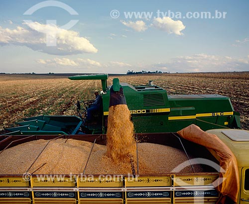  Assunto: Descarregamento de milho / Local: Palotina - Paraná (PR) - Brasil / Data: 06/2011 