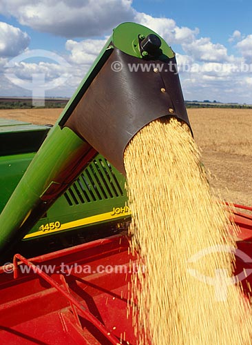  Assunto: Descarregamento de soja / Local: Distrito Baús - Costa Rica - Mato Grosso do Sul ( MS ) - Brasil / Data: 06/2011 