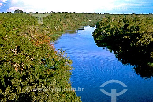  Assunto: Vista do rio Ariaú na Floresta Amazônica / Local: Iranduba - Amazonas (AM) - Brasil / Data: 04/2007 